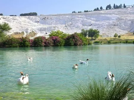 Ephesus Tour, Pamukkale Tour, Turkey Tours, Turkey Tours Packages (18)