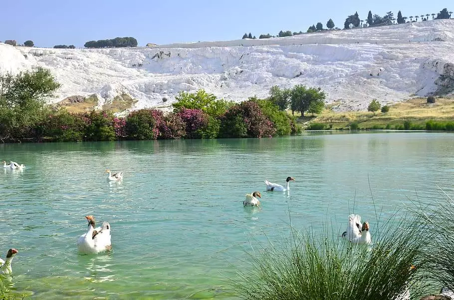 Ephesus Tour, Pamukkale Tour, Turkey Tours, Turkey Tours Packages (18)