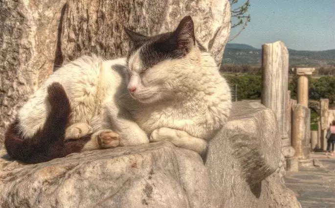 Complete Guide to Ephesus Antique City and its Remains