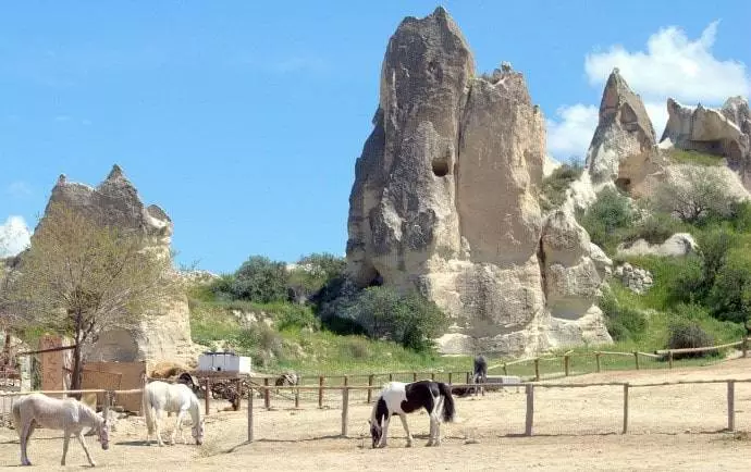 Goreme Restaurants & Nightlife: Cappadocia Tourism Hub